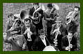Fanfare Ciocarlia